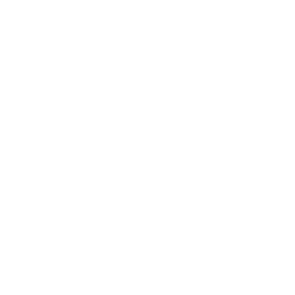 SO BON logo